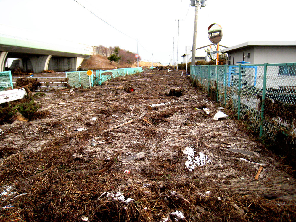 2011年3月12日仙台市若林区荒井