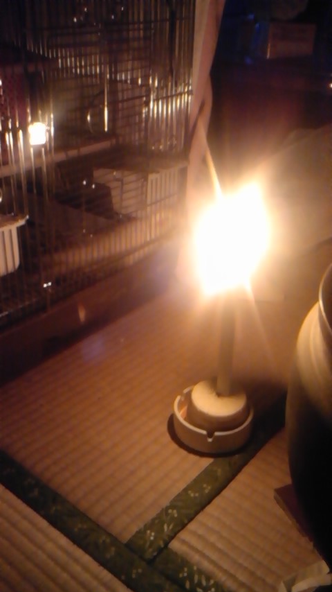 2011年3月11日17時56分ペットの鳥の前に、ばっぱ手作りの燭台でろうそくを灯していた